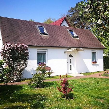 Ferienhaus Im Igelbau Baabe Eksteriør billede