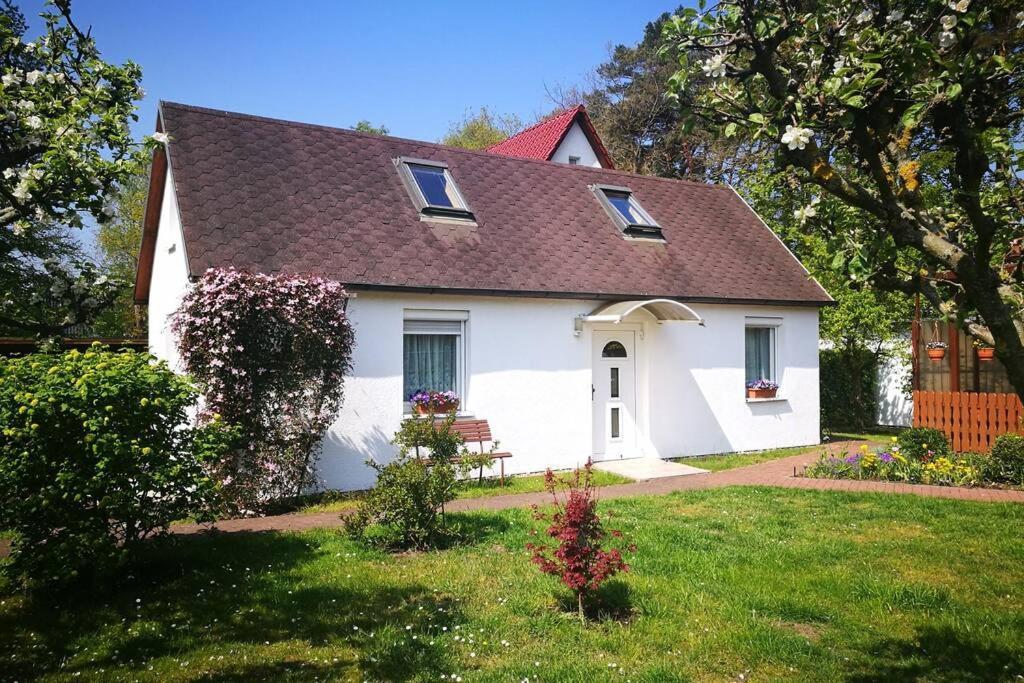 Ferienhaus Im Igelbau Baabe Eksteriør billede